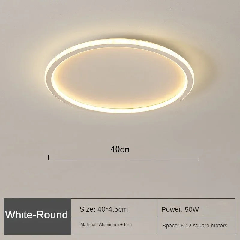 Nordic Minimalist LED Ceiling Light for Bedroom Living Room Aisle Study Room Balcony Circular Remote Control Lighting Chandelier