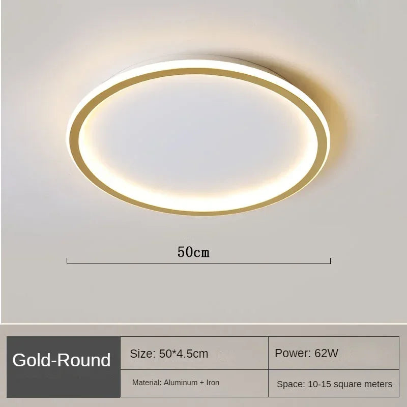 Nordic Minimalist LED Ceiling Light for Bedroom Living Room Aisle Study Room Balcony Circular Remote Control Lighting Chandelier