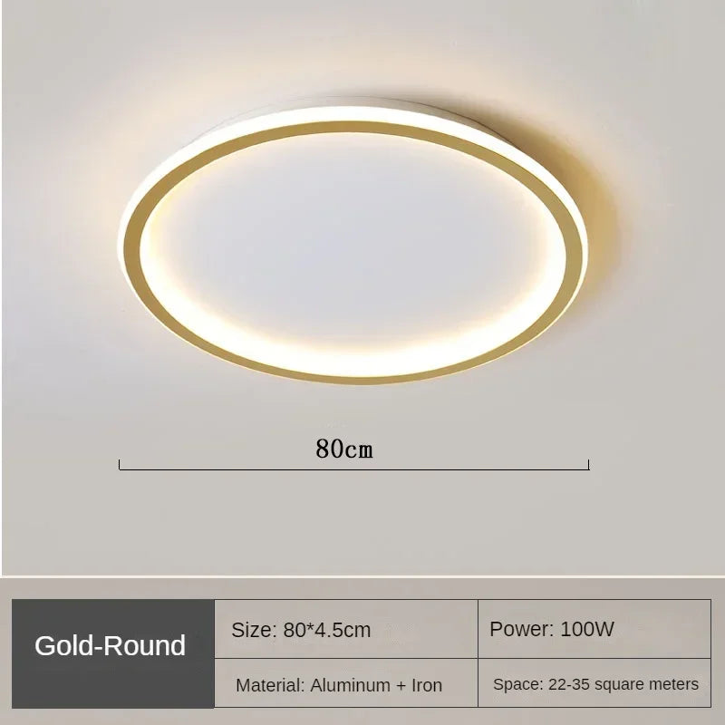 Nordic Minimalist LED Ceiling Light for Bedroom Living Room Aisle Study Room Balcony Circular Remote Control Lighting Chandelier